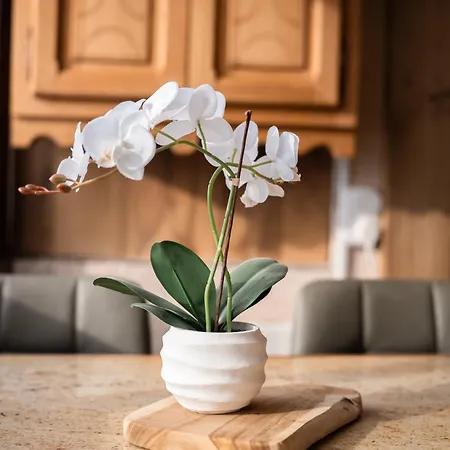 Apartamento Smartstay Caron - *